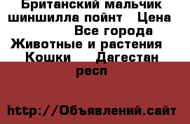 Британский мальчик шиншилла-пойнт › Цена ­ 5 000 - Все города Животные и растения » Кошки   . Дагестан респ.